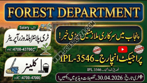Forest Department Jobs