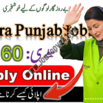 Suthra Punjab Jobs