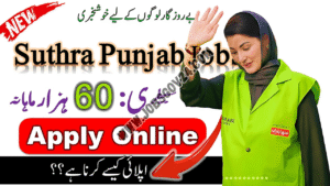 Suthra Punjab Jobs